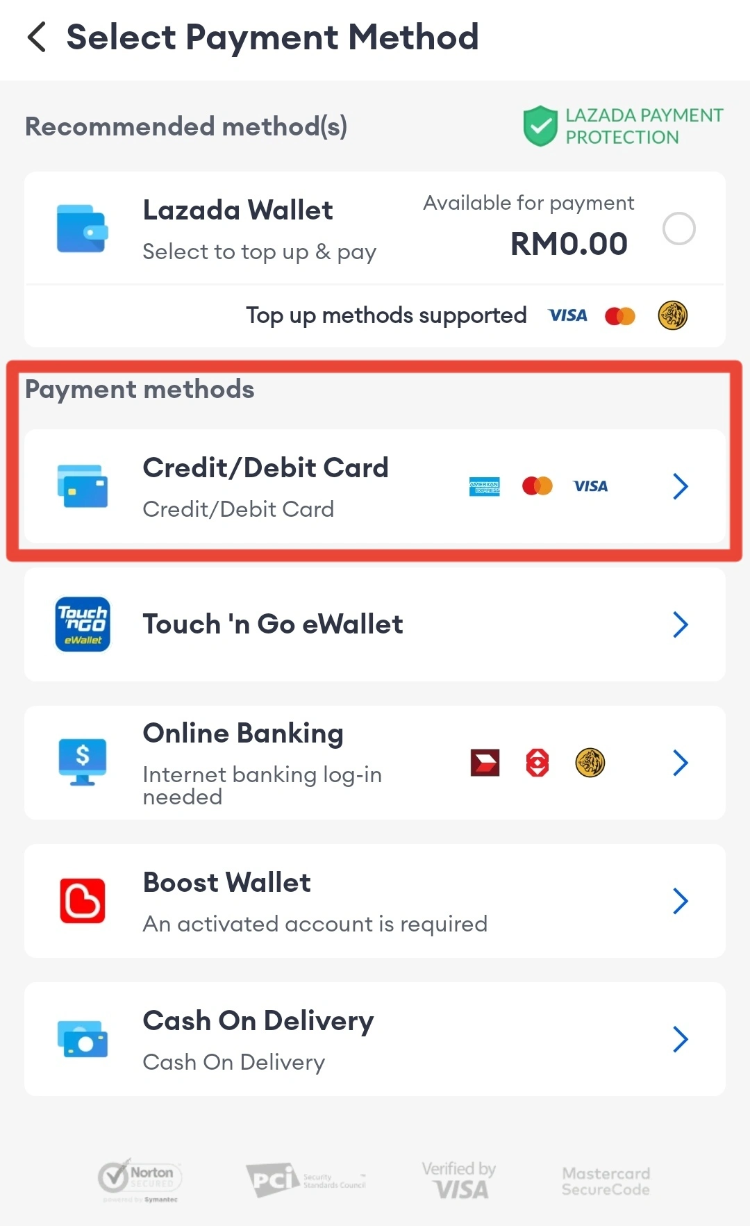 Payment Method 选择 Credit/Debit Card
